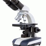Использование микроскопа в современных условиях.
